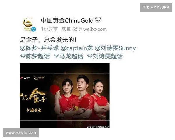 刘诗雯赛事-刘诗雯赛事辉煌征程 世界冠军之路的奋斗与荣耀